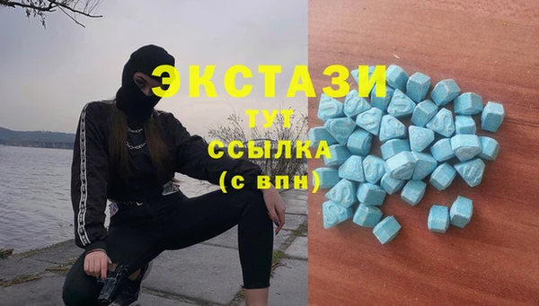 apvp Алексин