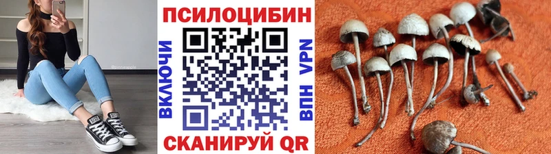 Галлюциногенные грибы ЛСД Купить закладки Кинель